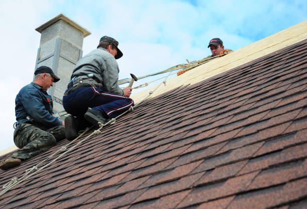 Best Best Roofing Contractors  in Sparta, IL